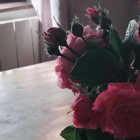 빌레쉬르메르 Le Vieux Pre De La Motte 아파트 외부 사진